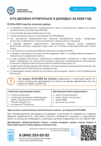 Кто должен отчитаться о доходах за 2025.