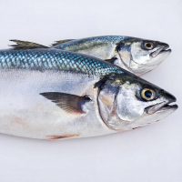 Скумбрия — рыба, богатая омега-3 и белком!